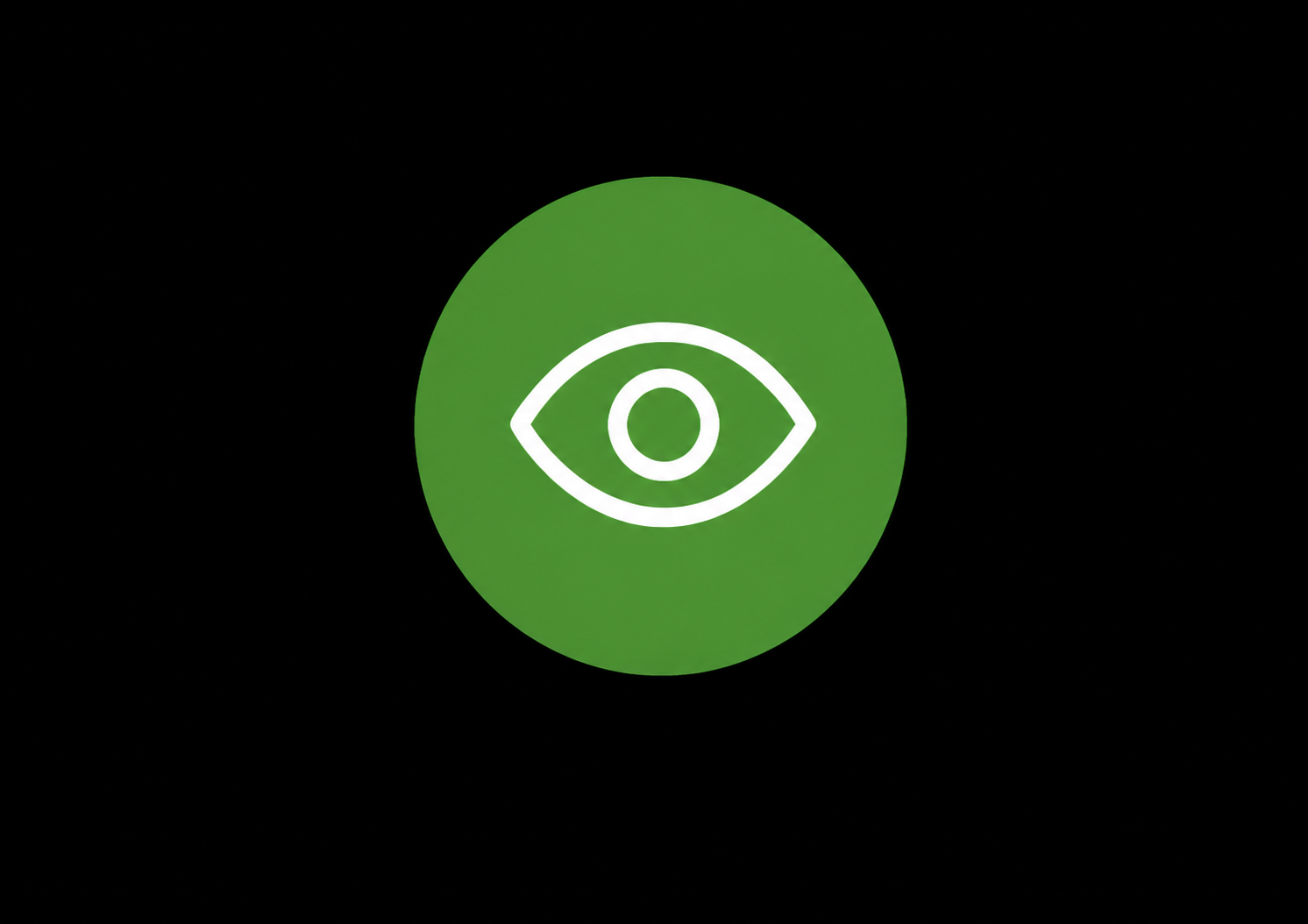 Vision